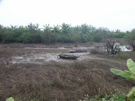 Toàn bộ tôm, cua, cá, chuối tiền tỉ trong đầm của gia đình ông Vươn bị tháo nước rồi cướp vét sạch. 