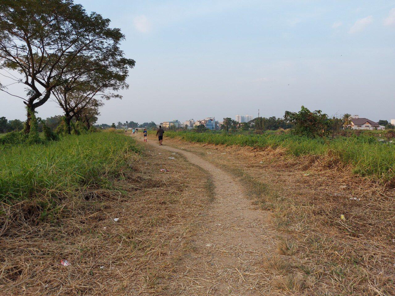 Thực chất, Dự án chỉnh trang đô thị khu vực phía trước công viên (khu 8ha) được UBND TPHCM chấp thuận (tại Công văn số 2755/UBND-ĐTMT ngày 10/6/2011) cho công ty Gia Tuệ làm chủ đầu tư.Tuy nhiên, theo tìm hiểu khu đất này trước đây được cty này giới thiệu là "Khu căn hộ Gia Tuệ Central Square".