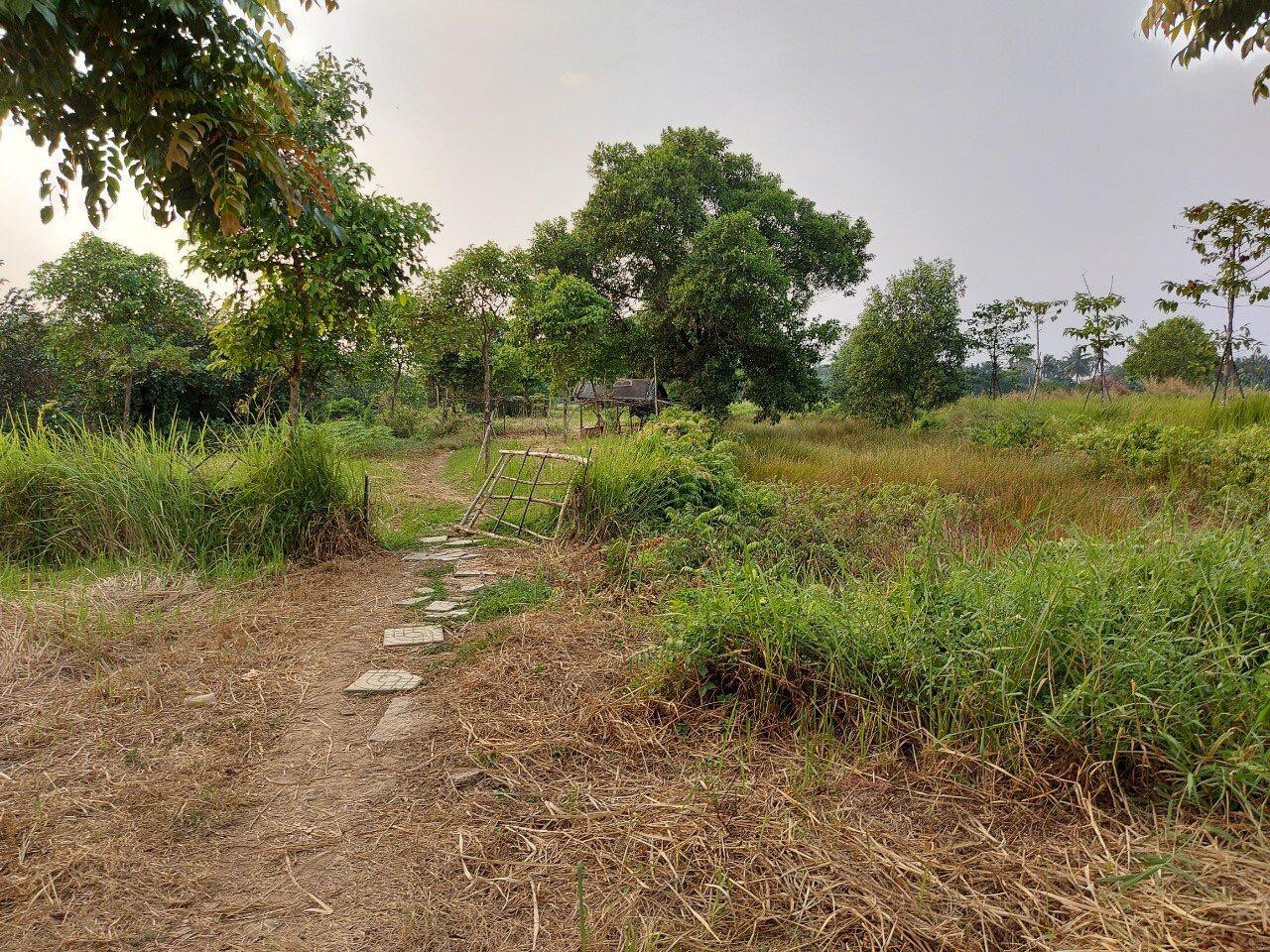 Đến tháng 9/2001, Thủ tướng Chính phủ có Quyết định số 1288/QĐ-TTg về thu hồi 37 ha đất tại phường 17 (nay là phường 6) quận Gò Vấp và giao cho ban Quản lý đầu tư xây dựng hạ tầng công viên văn hóa Gò Vấp sử dụng toàn bộ diện tích đất thu hồi, đầu tư xây dựng hạ tầng công viên văn hóa Gò Vấp.