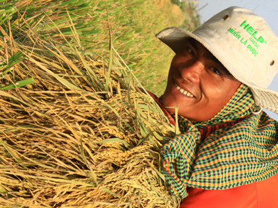 Nông dân với hạt lúa đạt năng suất gần 18 tấn/ha/năm