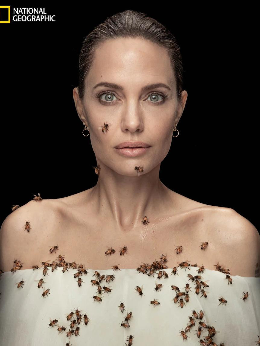 Angelina Jolie gây ấn tượng với bức ảnh chụp với ong. Angelina Jolie gây ấn tượng với bức ảnh chụp với ong.