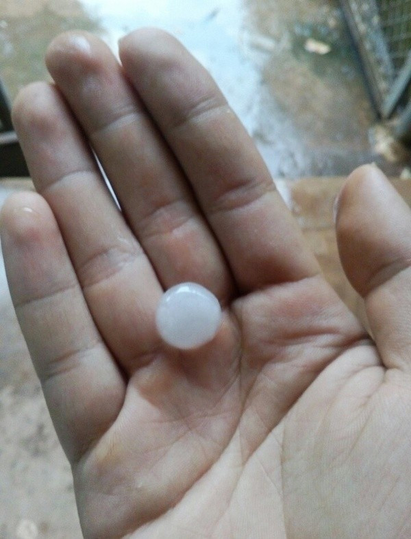 Mưa đá 15 phút, nhiều ruộng vườn ở Sơn La tan hoang ảnh 1