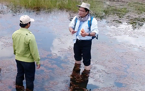 Trữ nước quanh năm, sếu đầu đỏ về Tràm Chim giảm 100 lần ảnh 1