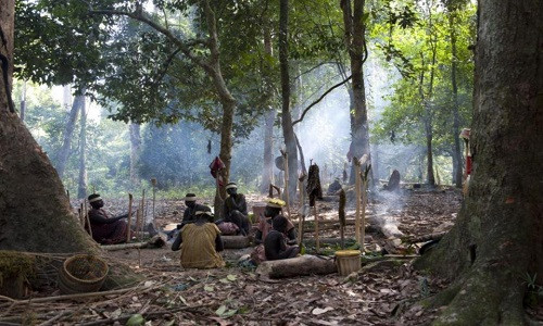 Bộ lạc sống biệt lập 55.000 năm trên quần đảo Ấn Độ Dương ảnh 1