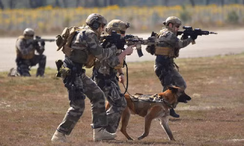 5 lực lượng đặc nhiệm tinh nhuệ nhất thế giới ảnh 4