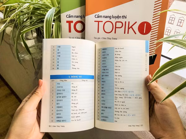 Review bộ sách Cẩm nang luyện thi TOPIK của cô Châu Thùy Trang ảnh 3