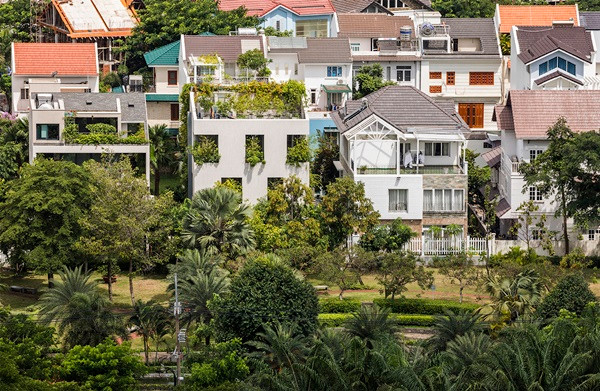 'Hô biến' cả rừng cây xanh vào trong nhà phố ảnh 10