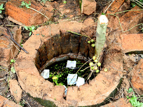 Chiếc giếng nơi phát hiện xác chết cháu Nguyệt
