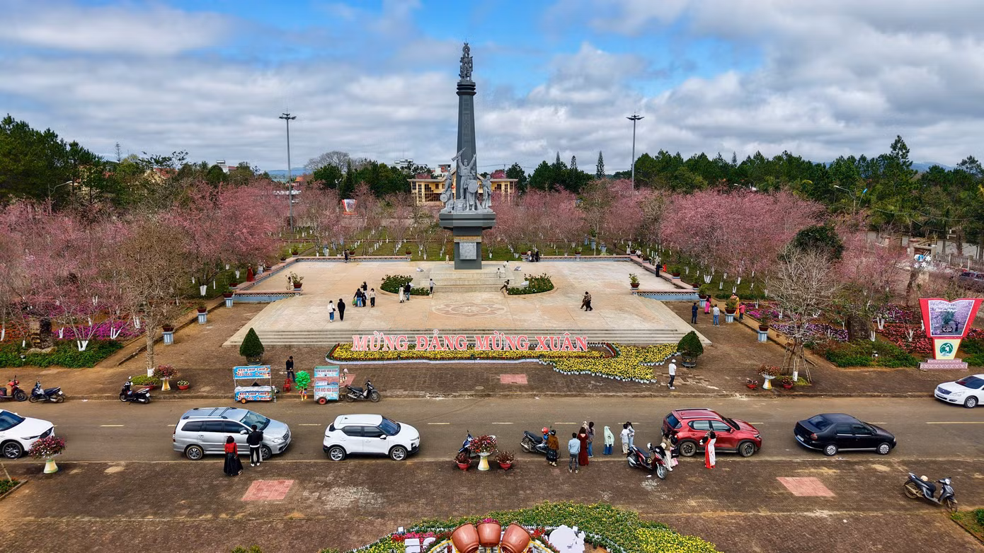 Măng Đen đặt mục tiêu trồng 1 triệu cây mai anh đào.