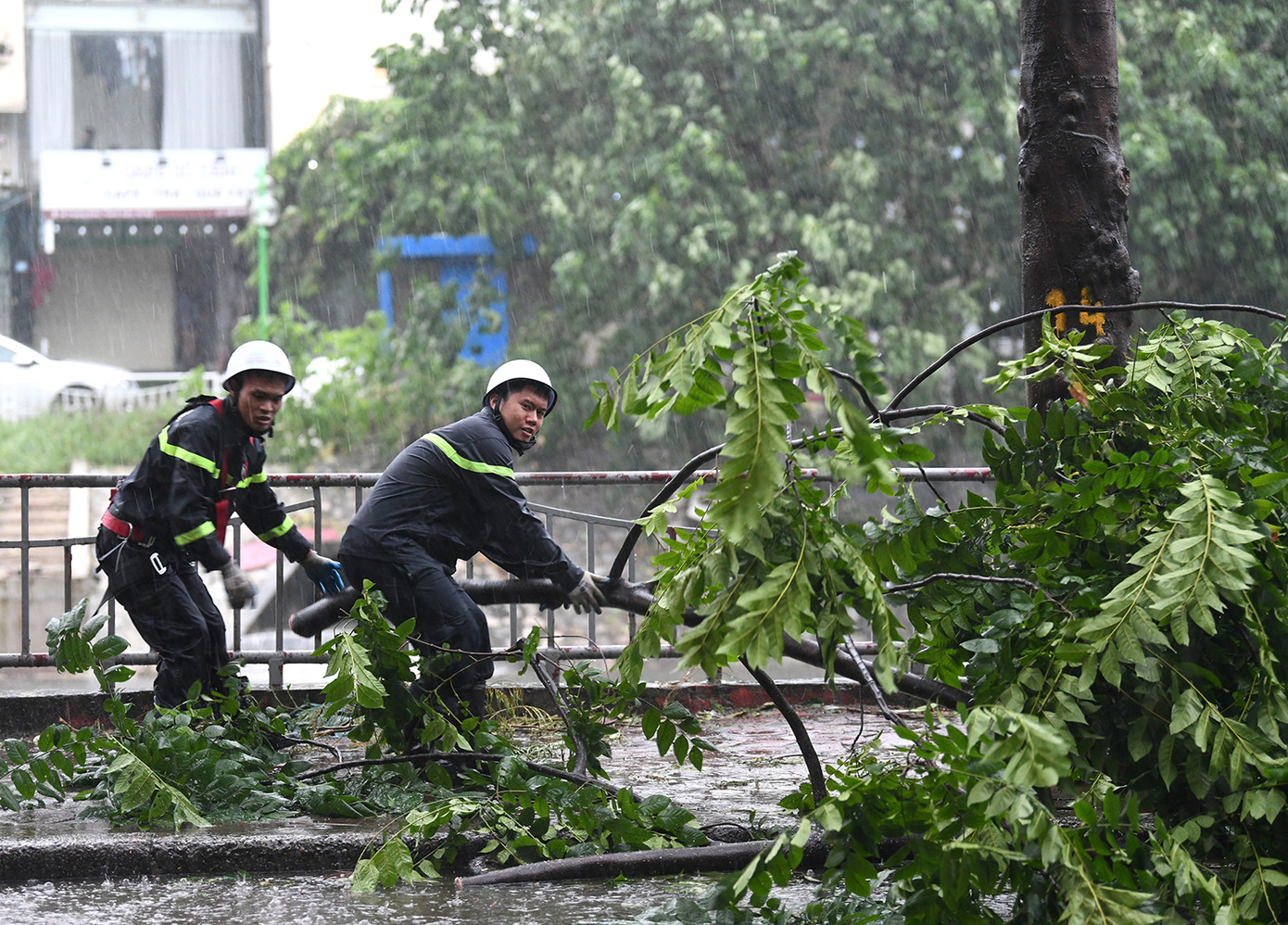 Xử lý cây đổ ngang đường Vũ Tông Phan gây cản trở giao thông trên tuyến phố này. Ảnh: Như Ý