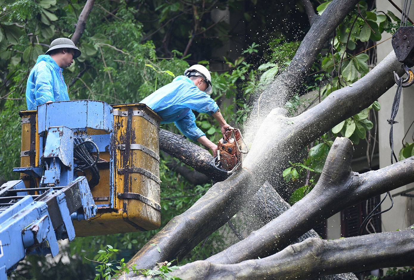 Lực lượng chức năng dọn dẹp các cây gãy đổ, giải tỏa giao thông. Ảnh: Như Ý