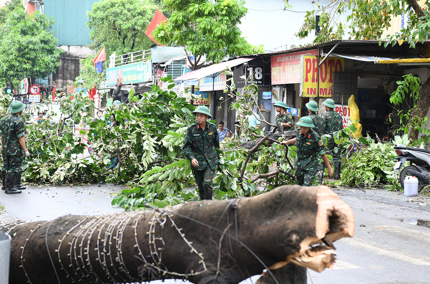 Xử lý một cây bị đổ trên phố Khương Hạ.