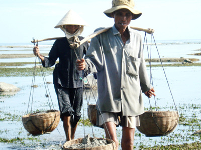 Hiếm hoi bóng dáng đàn ông 