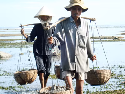 Hiếm hoi bóng dáng đàn ông . Hiếm hoi bóng dáng đàn ông