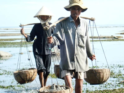 Hiếm hoi bóng dáng đàn ông 