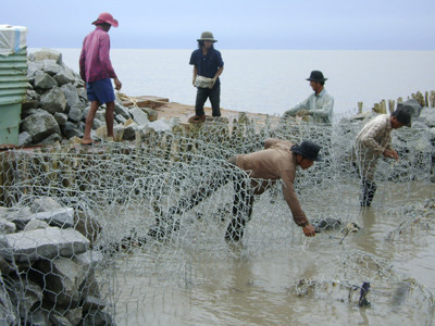 Xây dựng bờ kè chắn sóng, tạo bãi bồi, khôi phục rừng tuyến đê biển Tây đang được cân nhắc để áp dụng chống sạt lở cho Mũi Cà Mau. Xây dựng bờ kè chắn sóng, tạo bãi bồi, khôi phục rừng tuyến đê biển Tây đang được cân nhắc để áp dụng chống sạt lở cho Mũi Cà Mau