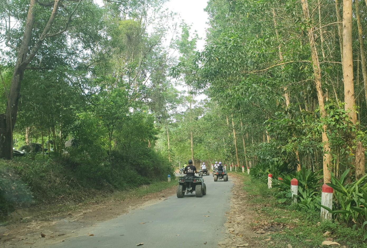 Đường lên đỉnh núi Hòn Bà - nơi có khí hậu mát mẻ quanh năm. Ảnh: L.H. Đường lên đỉnh núi Hòn Bà - nơi có khí hậu mát mẻ quanh năm. Ảnh: L.H.