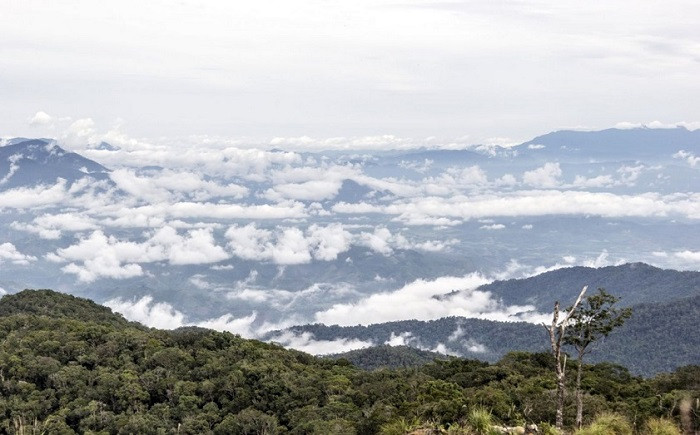 Khu BTTN Hòn Bà có cảnh quan thiên nhiên đa dạng và phong phú. Ảnh tư liệu. Khu BTTN Hòn Bà có cảnh quan thiên nhiên đa dạng và phong phú. Ảnh tư liệu.