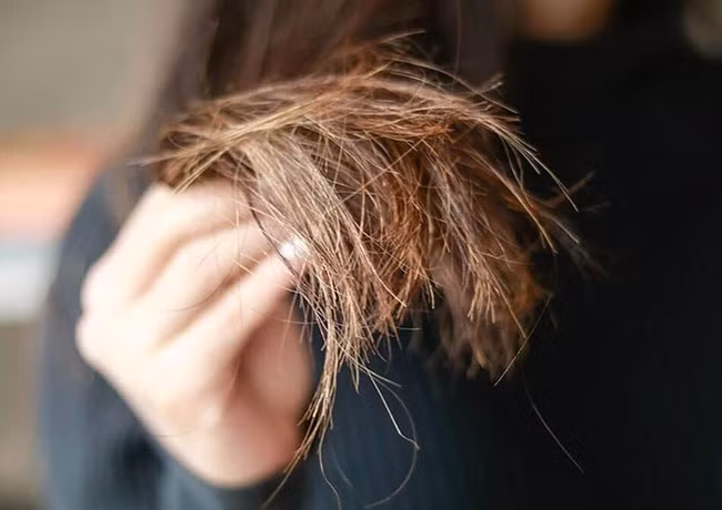 Nếu tóc bạn dầu, mồ hôi và nhờn nhiều thì không được bôi thuốc hấp chạm sát da đầu. Nếu tóc bạn dầu, mồ hôi và nhờn nhiều thì không được bôi thuốc hấp chạm sát da đầu.
