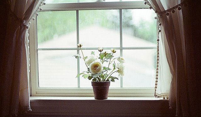 Nhớ mở rèm cửa để ngắm nhìn bầu trời và thiên nhiên xung quanh.