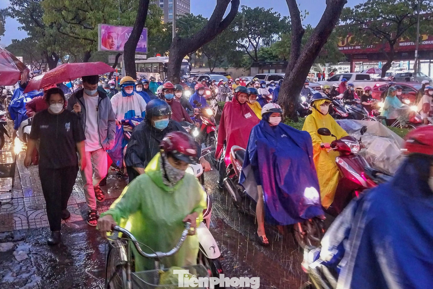 Trong khi đó tại đường Nguyễn Văn Cừ (đoạn từ Ngã Sáu Cộng Hòa ra đến Võ Văn Kiệt) phương tiện lưu thông qua đây hầu như hỗn loạn, ùn tắc khiến nhiều người phải cho xe chạy lên lề.