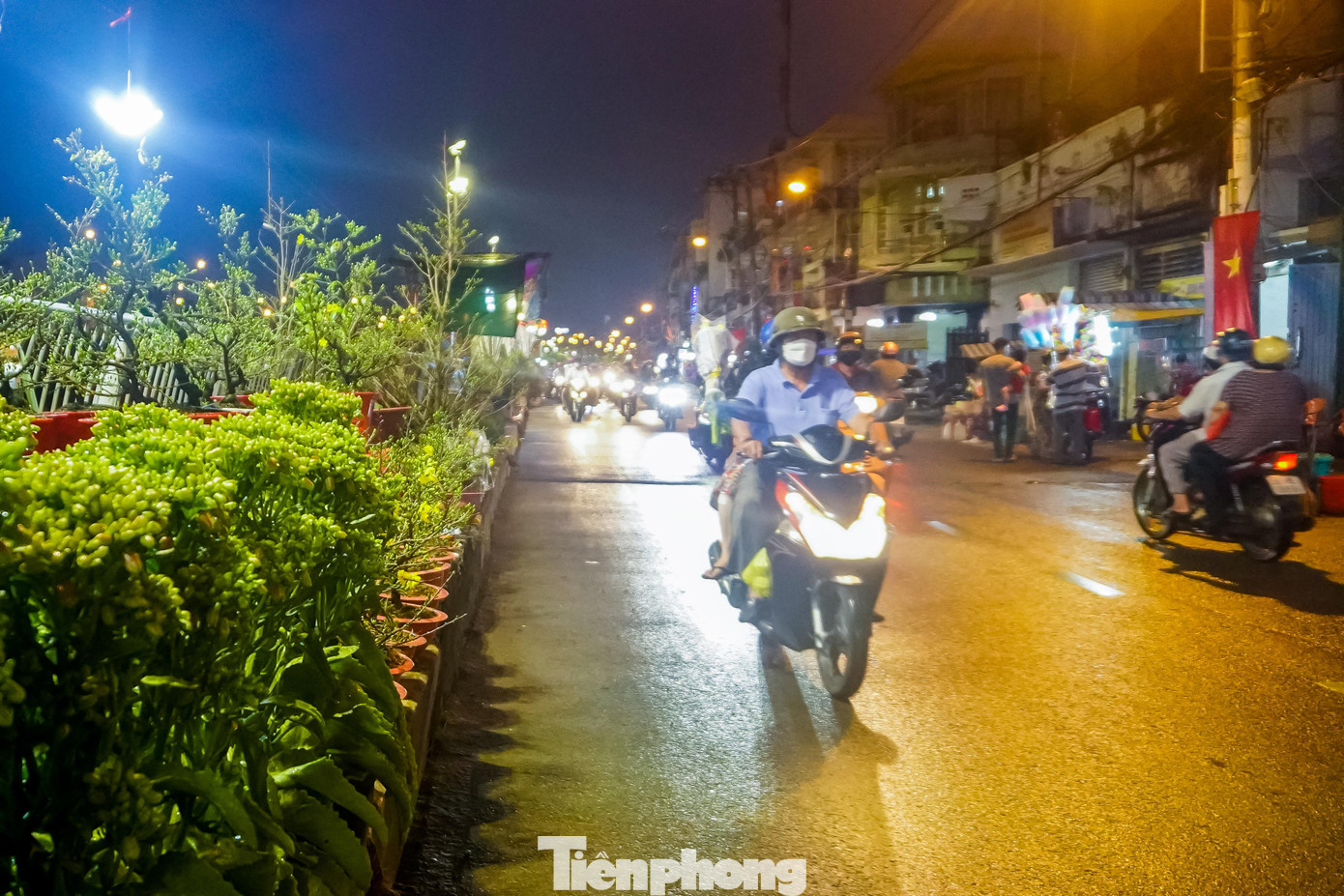 Chợ hoa 'Trên bến dưới thuyền' Tết Quý Mão 2023 ở TPHCM có gì mới? ảnh 4 Chợ hoa 'Trên bến dưới thuyền' Tết Quý Mão 2023 ở TPHCM có gì mới? ảnh 4