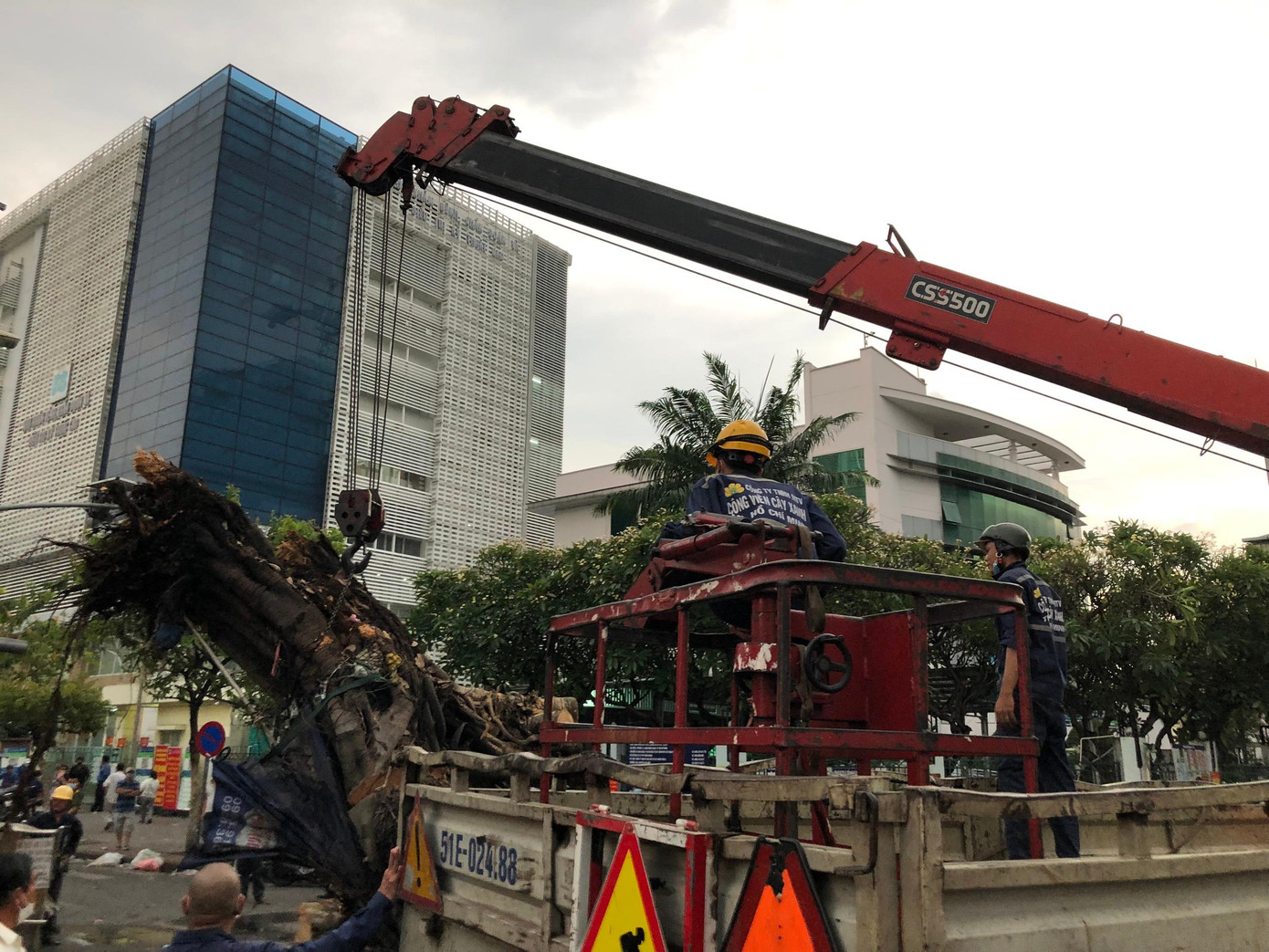 Nhân viên công ty cây xanh đang dọn dẹp hiện trường