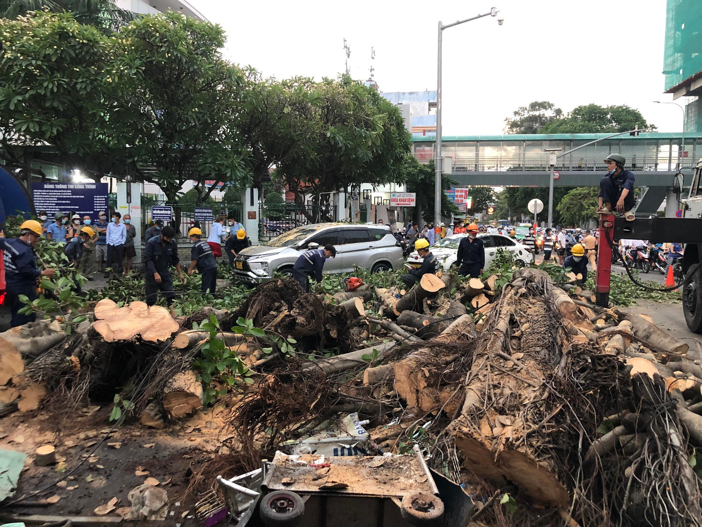 Hiện trường cây xanh đổ đè trúng làm hư hỏng nhiều tài sản.