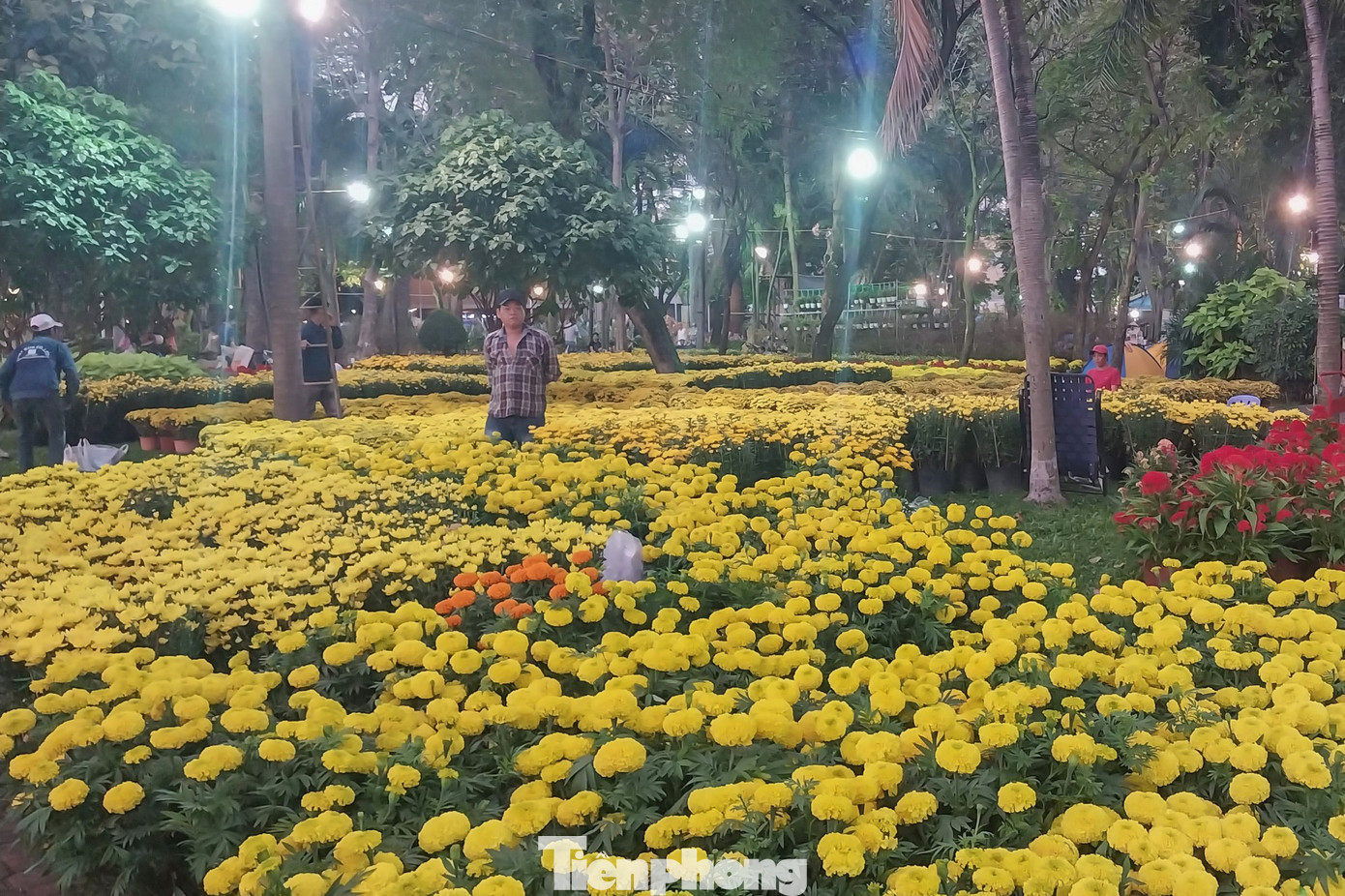 Ghi nhận tại Công viên TPHCM (đường Nguyễn Thái Học - Quận 1), ngoài các điểm bán hoa Tết thì mua sắm tại những Hội hoa xuân được tổ chức trong công viên cũng được nhiều người lựa chọn.