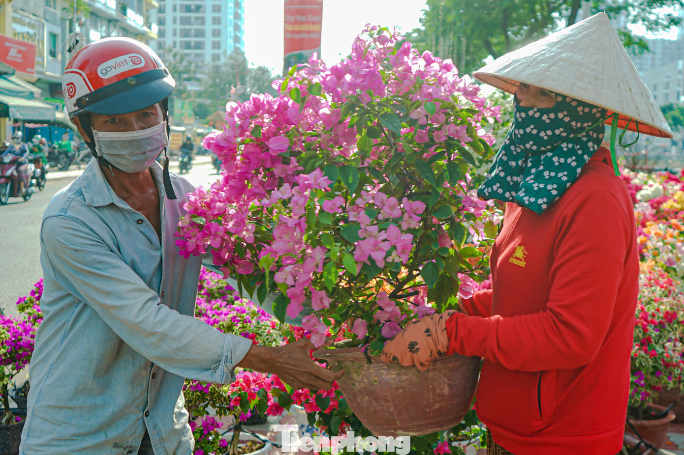 Một chủ vườn ở Bến Tre có thâm niên hơn 8 năm buôn bán hoa tết tại Bến Bình Đông cho biết, năm nay việc trồng và chăm sóc hoa mai, cây kiểng mệt mỏi hơn, tốn công sức hơn mọi năm. Trong khi đó, do tình hình kinh tế khó khăn, giá bán hoa Tết năm nay không tăng so với các năm trước.