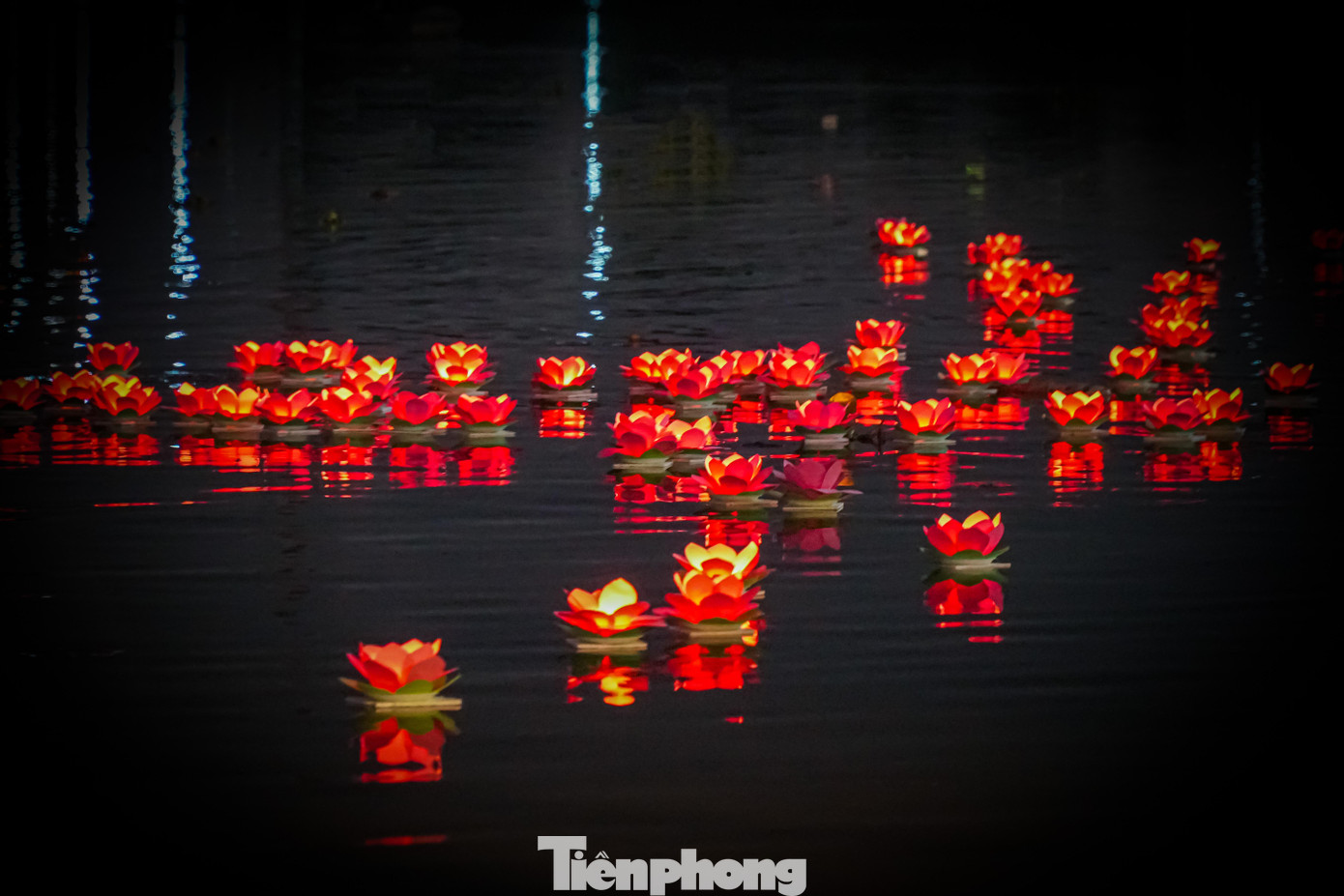 Đã có hơn 800 hoa đăng được người dân cùng với các tăng ni phật tử thả xuống sông Sài Gòn kèm theo những lá thư ghi mong ước, nguyện vọng.