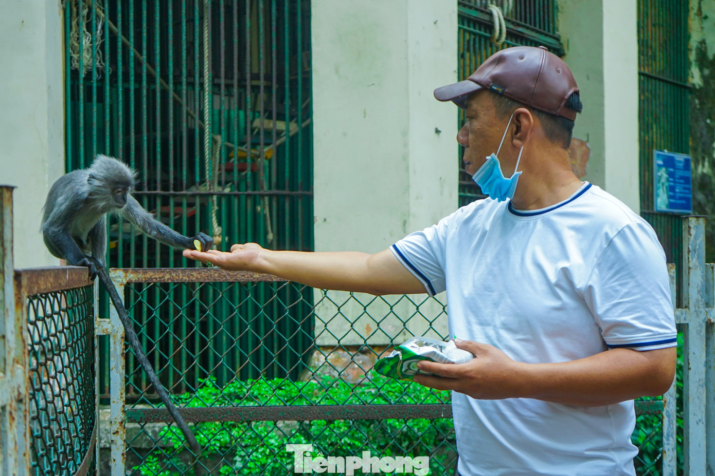 Nhiều du khách đã có những trải nghiệm thú vị khi được trực tiếp cho các chú khỉ, chú dê thức ăn.