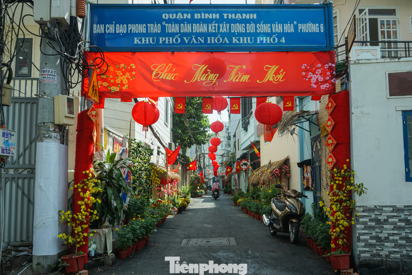 Hẻm 153 Nguyễn Thượng Hiền (phường 6, quận Tân Bình) được trang trí không khác gì một “đường hoa” thu nhỏ