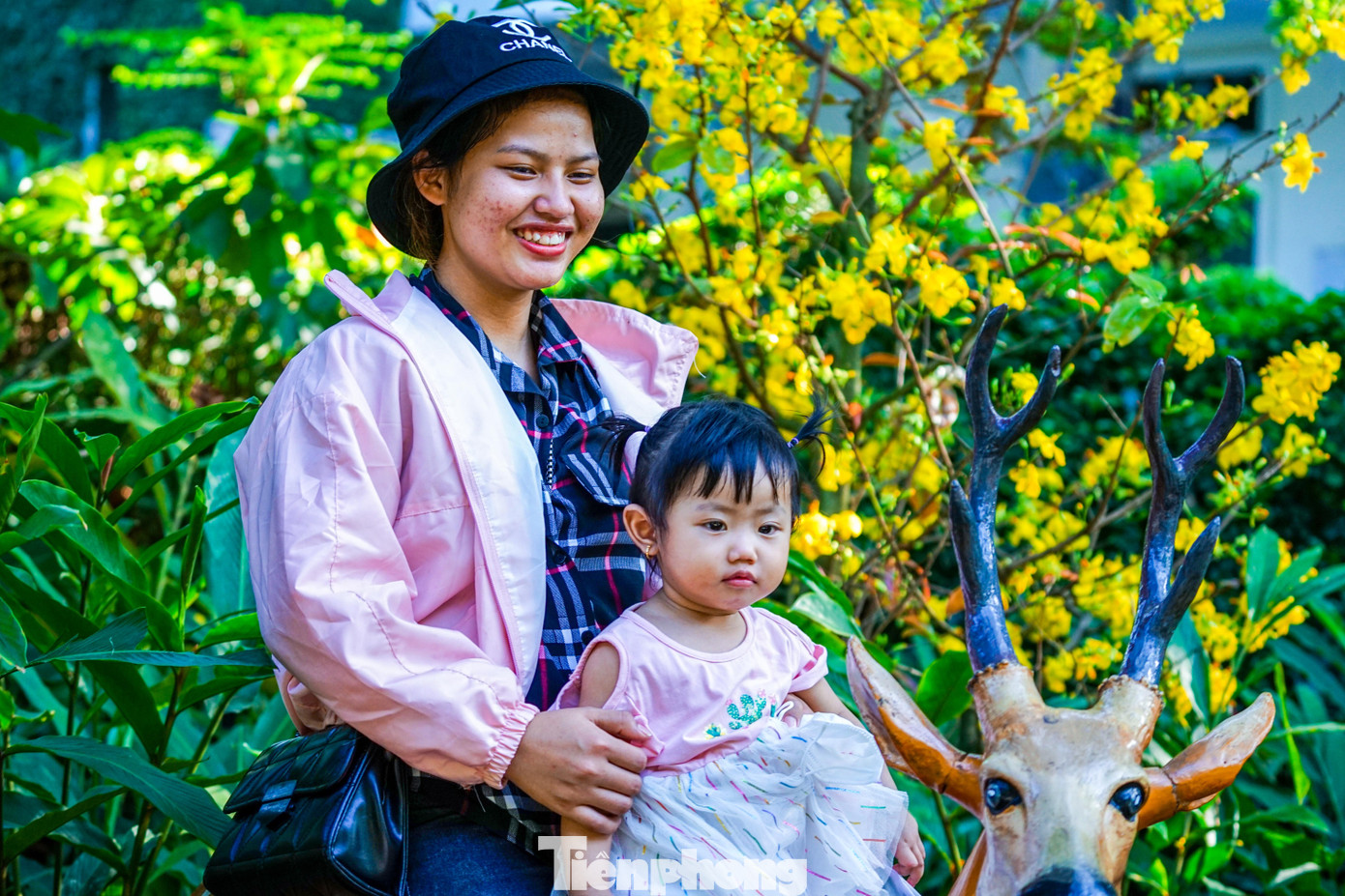 Ngoài được ngắm nhìn các loài động vật độc đáo trong hệ sinh thái ở Thảo cầm viên, bên cạnh đó nhiều bạn trẻ cũng vô cùng thích thú khi chọn cách sống ảo tại các khu vực trồng các loài hoa mai quý hiếm tại tiểu khu "Vườn mai địa đàn". Ngoài được ngắm nhìn các loài động vật độc đáo trong hệ sinh thái ở Thảo cầm viên, bên cạnh đó nhiều bạn trẻ cũng vô cùng thích thú khi chọn cách sống ảo tại các khu vực trồng các loài hoa mai quý hiếm tại tiểu khu "Vườn mai địa đàn".