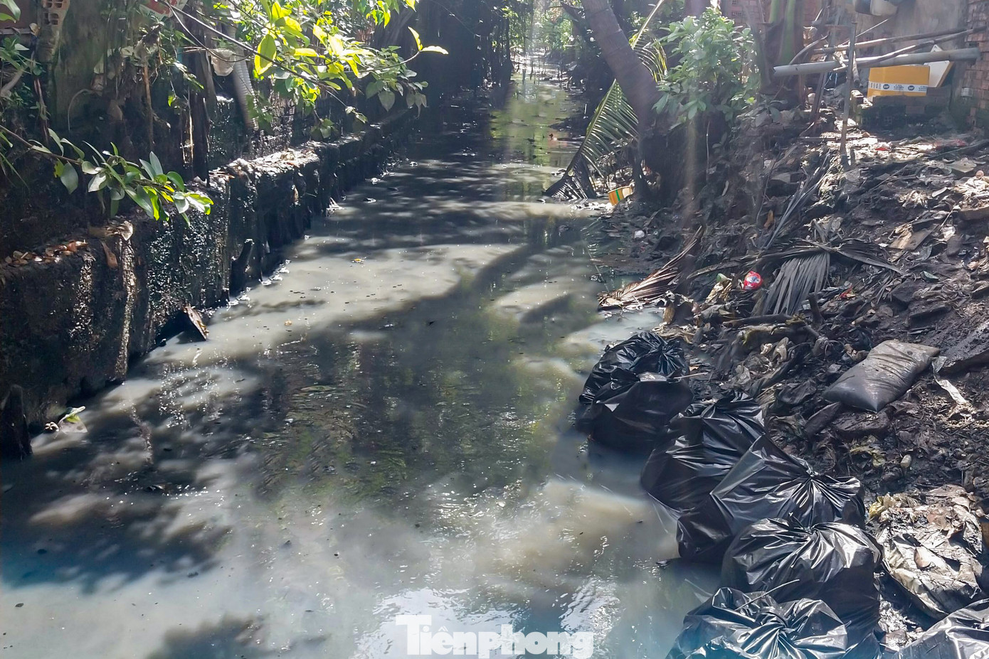 Những bạn trẻ làm chuyện 'không giống ai' ở Sài Gòn ảnh 12