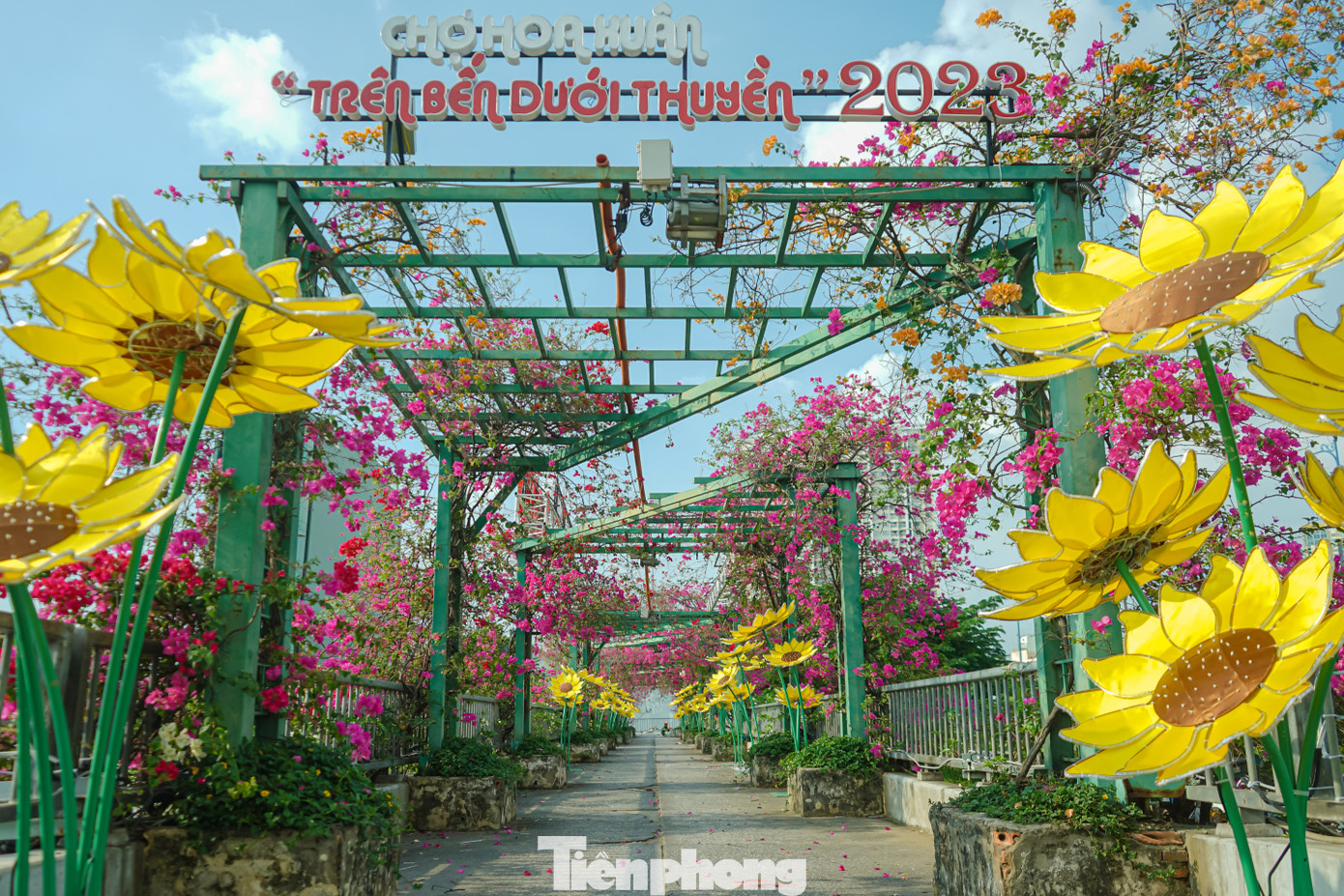 Điểm nhấn của chợ hoa năm nay là cầu số 7 và cầu số 6 được trang trí hoa đào, hoa mai bằng đèn led, tăng thêm ánh sáng và nét truyền thống cho chợ hoa xuân. Ngoài ra, màn hình led cũng được ban tổ chức cho lắp đặt nhằm phục vụ việc quảng bá du lịch.