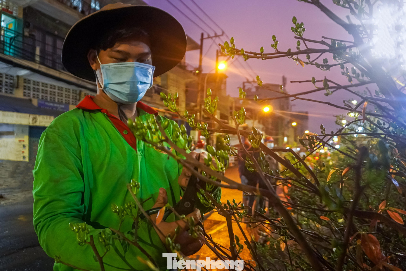 Chợ hoa xuân “Trên bến dưới thuyền 2023” có trên 650 điểm kinh doanh hoa, cây kiểng, trái cây Chợ hoa xuân “Trên bến dưới thuyền 2023” có trên 650 điểm kinh doanh hoa, cây kiểng, trái cây