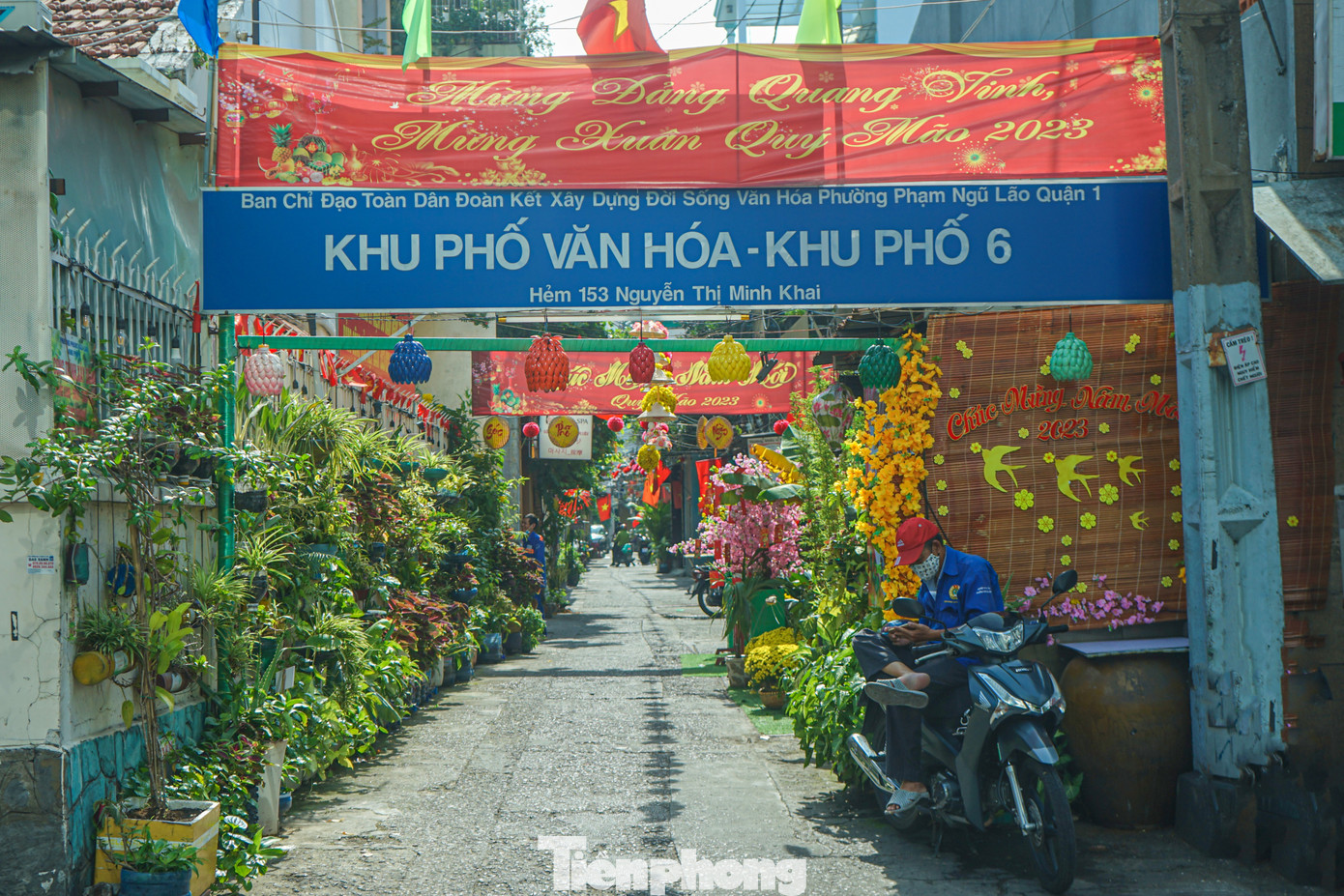 Hẻm 153 Nguyễn Thị Minh Khai (phường Phạm Ngũ Lão, Quận 1) dài chưa đến 100m nhưng đã được người dân cùng chính quyền địa phương chung tay trang trí nhiều mảng xanh và những chậu hoa rực rỡ sắc xuân.