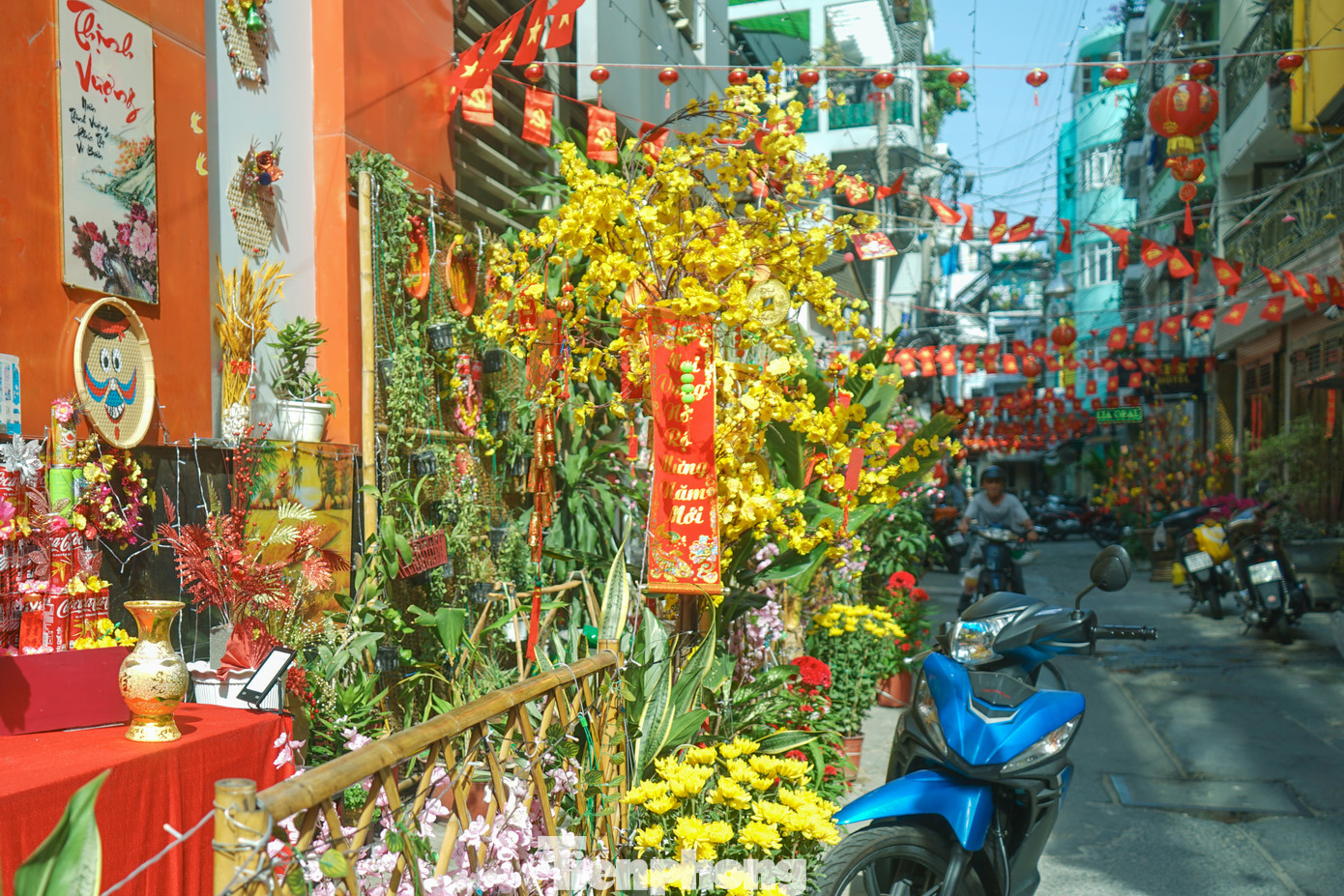 Ngoài bài trí các tiểu cảnh đậm chất Tết xưa, hẻm 100 Trần Hưng Đạo còn có ảnh Chủ tịch Hồ Chí Minh được đặt ở vị trí trang trọng cùng các chậu mai vàng đua nhau khoe sắc.