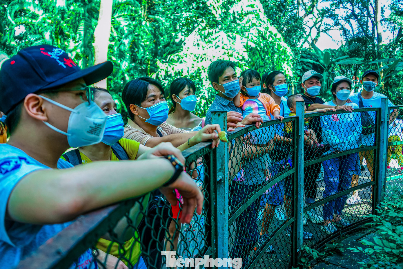 Bên trong Thảo Cầm Viên, các khu vực như chuồng nuôi chim hạc, voọc, vượn, cá sấu thu hút sự chú ý của nhiều du khách.