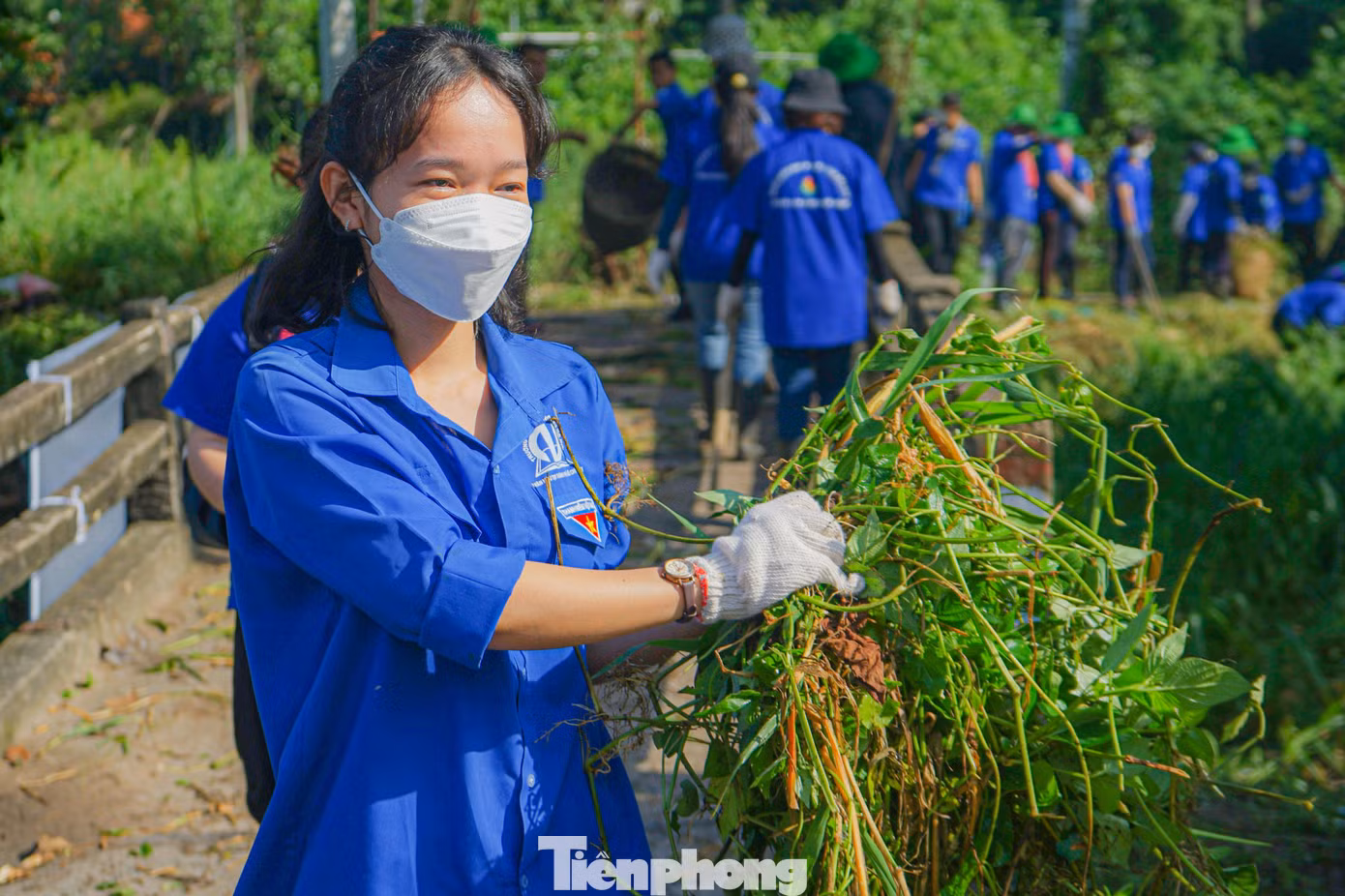 "Mình thấy các hoạt động tình nguyện này tuy có phần nặng nhọc nhưng rất hay và ý nghĩa. Thông qua hoạt động này mình và các bạn trong trường gắn kết nhau nhiều hơn" - sinh viên Lý Khánh An (ĐH Văn Lang) chia sẻ.