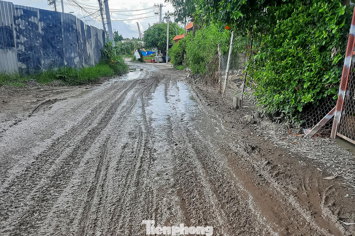 Thời gian qua, báo Tiền Phong nhận được nhiều phản ánh của người dân sinh sống tại thành phố Thủ Đức về tình trạng xe có tải trọng lớn lưu thông khiến nhiều tuyến đường bị hư hỏng nghiêm trọng, người dân di chuyển khó khăn, gây mất an toàn giao thông.