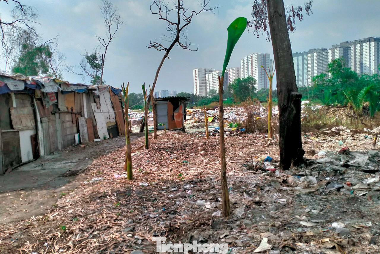 Khu vực bên trong 2 bãi rác sau sân bóng đá Hiếu Long và Đại Long 2 Khu vực bên trong 2 bãi rác sau sân bóng đá Hiếu Long và Đại Long 2