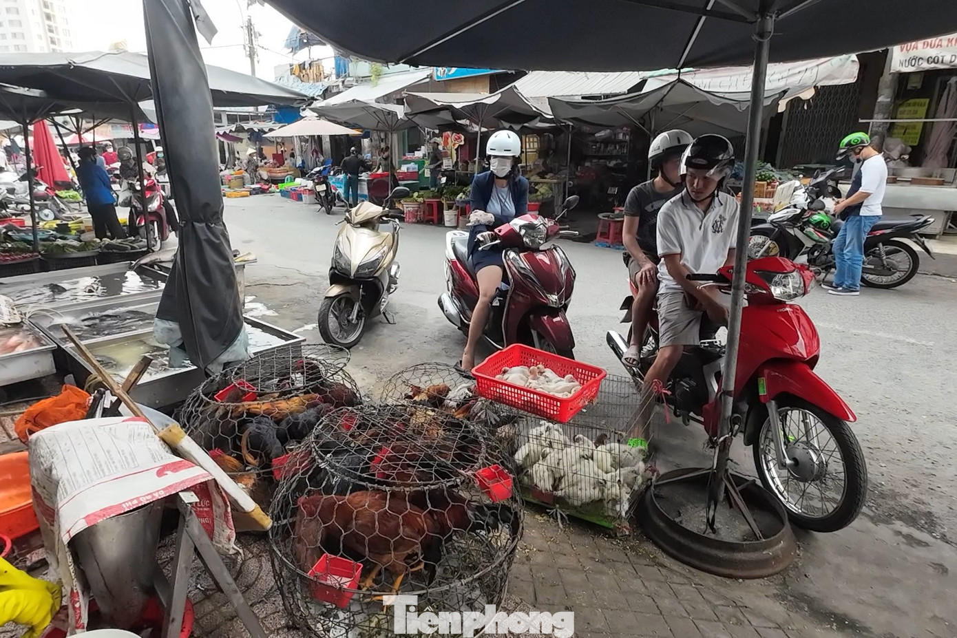 Rất đông người đến hỏi mua gia cầm tại một điểm bán trong chợ Phạm Văn Hai