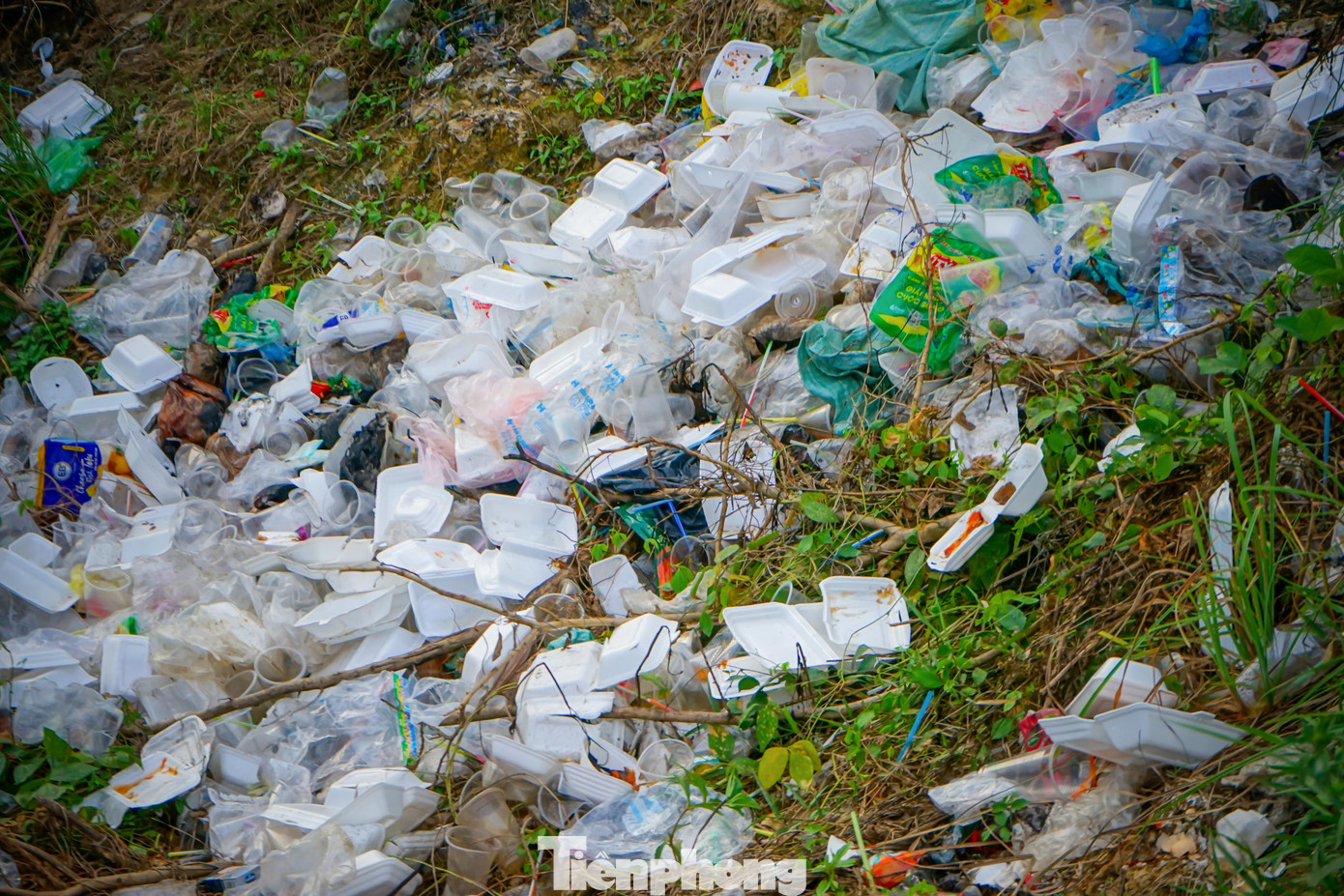 Việc rác thải được xả tràn lan không đúng chỗ đang làm ô nhiễm môi trường, tạo điều kiện cho ruồi nhặng sinh sôi, phát triển gây mất mỹ quan đô thị...