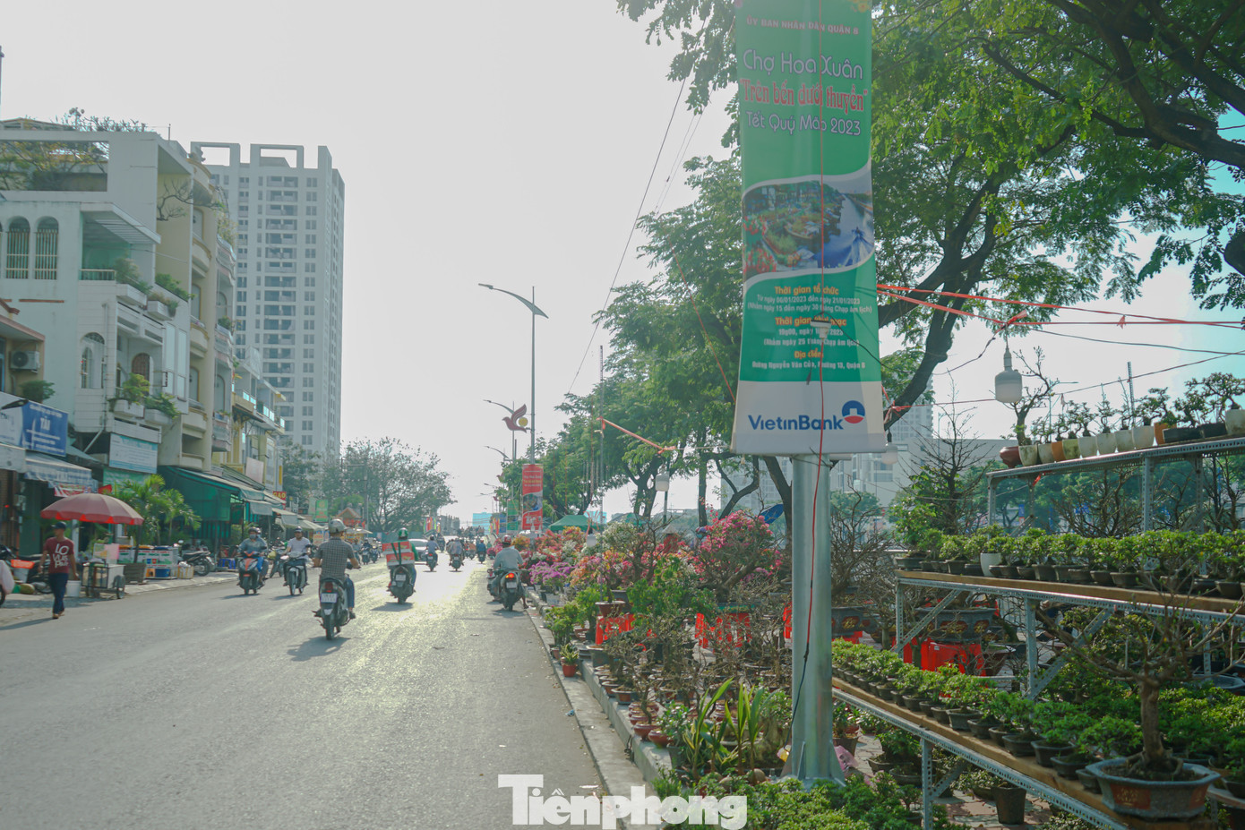 Trải dọc hai bên đường Bến Bình Đông có trên 650 điểm kinh doanh, bao gồm 593 điểm kinh doanh hoa, cây kiểng, 73 điểm kinh doanh phục vụ nhu cầu mua sắm của người dân TPHCM trong dịp Tết.