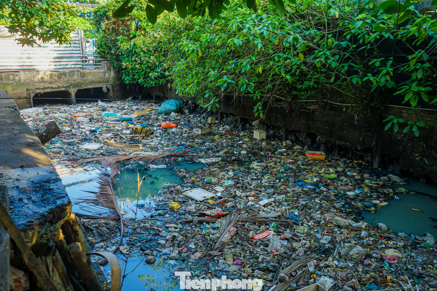 Những bạn trẻ làm chuyện 'không giống ai' ở Sài Gòn ảnh 11