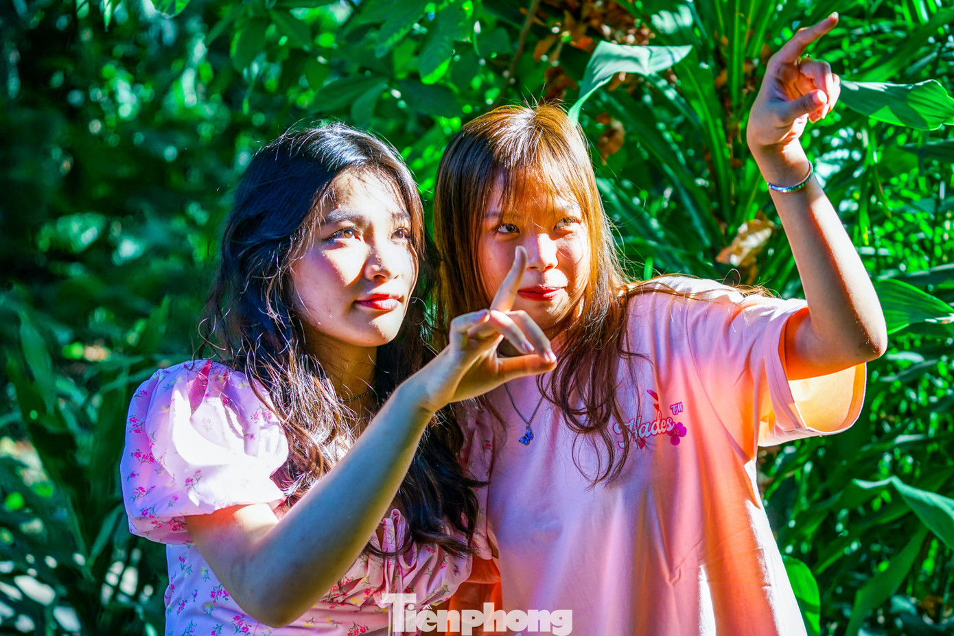 Đôi bạn thân Nguyễn Phúc Bảo Châu và Nguyễn Thùy Linh (THPT Nguyễn Công Trứ - quận Gò Vấp) chia sẻ. Vì rất lâu rồi tụi em chưa có dịp quay lại đây nên hôm nay sẵn dịp đang đi kiếm chỗ đẹp chụp ảnh xuân nên tụi em quyết định mua vé tham quan. Một phần là để gợi nhớ lại nơi hồi còn bé mình có nhiều kỷ niệm với gia đình, phần để tham quan vui chơi chụp ảnh. Đôi bạn thân Nguyễn Phúc Bảo Châu và Nguyễn Thùy Linh (THPT Nguyễn Công Trứ - quận Gò Vấp) chia sẻ. Vì rất lâu rồi tụi em chưa có dịp quay lại đây nên hôm nay sẵn dịp đang đi kiếm chỗ đẹp chụp ảnh xuân nên tụi em quyết định mua vé tham quan. Một phần là để gợi nhớ lại nơi hồi còn bé mình có nhiều kỷ niệm với gia đình, phần để tham quan vui chơi chụp ảnh.