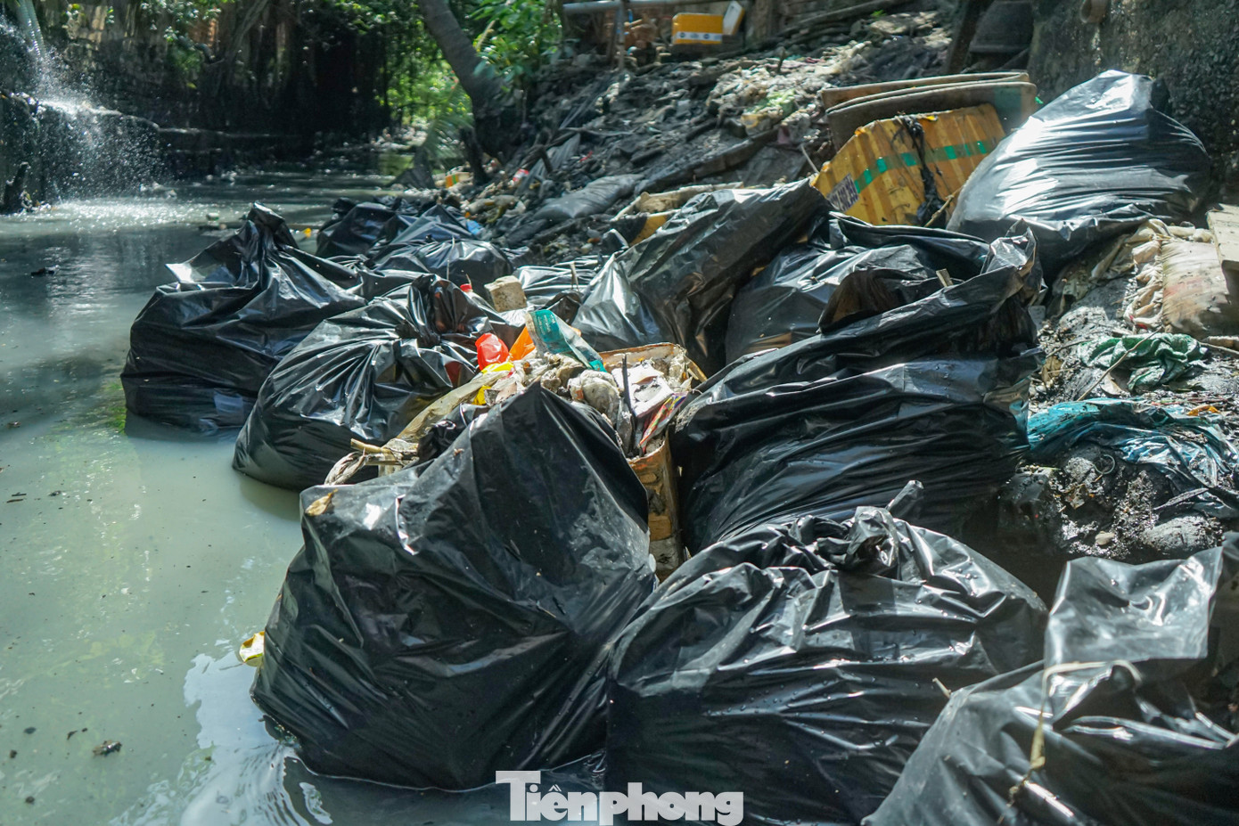 Hoạt động chưa lâu, nhóm Sài Gòn Xanh đang tìm kiếm các giải pháp tốt để xử lý lượng rác thải sau khi dọn dẹp trên các kênh rạch. Thông thường sau mỗi lần thu dọn, nhóm sẽ mang các túi rác đến các xe thu gom rác tại địa phương hoặc gửi rác tại các điểm tập kết rác của người dân.