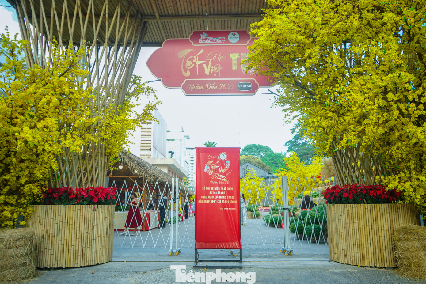 Cổng chào được đặt tại lối vào chính của nhà văn hóa Thanh niên. Cánh cổng được trang trí bằng những chậu mai vàng "khủng".